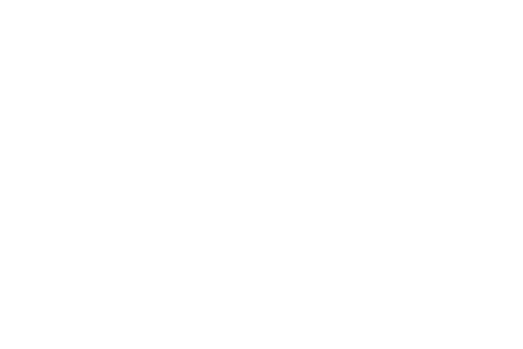 Maxiventus